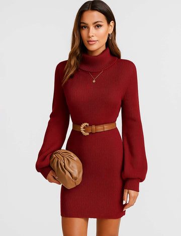 Ladies Solid Color Turtle Neck Long Sleeves Knit Dresses