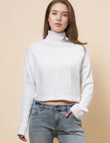 Ladies Solid Color Turtle Neck Pullover Sweater SKT4866