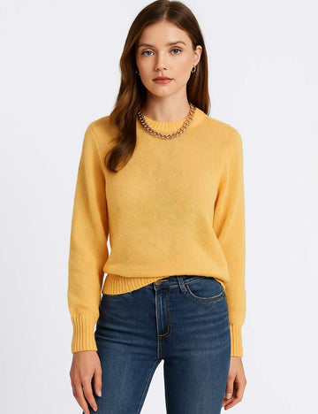 Ladies See Through Round Neck Long Sleeves Knit Top