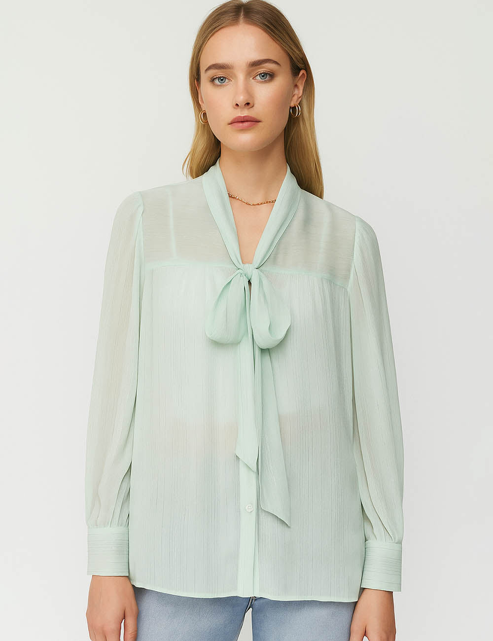 Ladies Chiffon Sheer Tie Neckline Long Sleeves Blouse