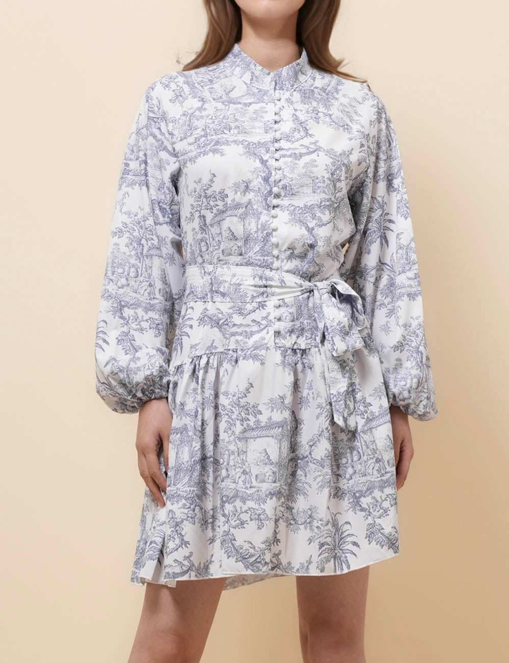 Ladies Puff Sleeves Plant Print Mini Dress SKD50187