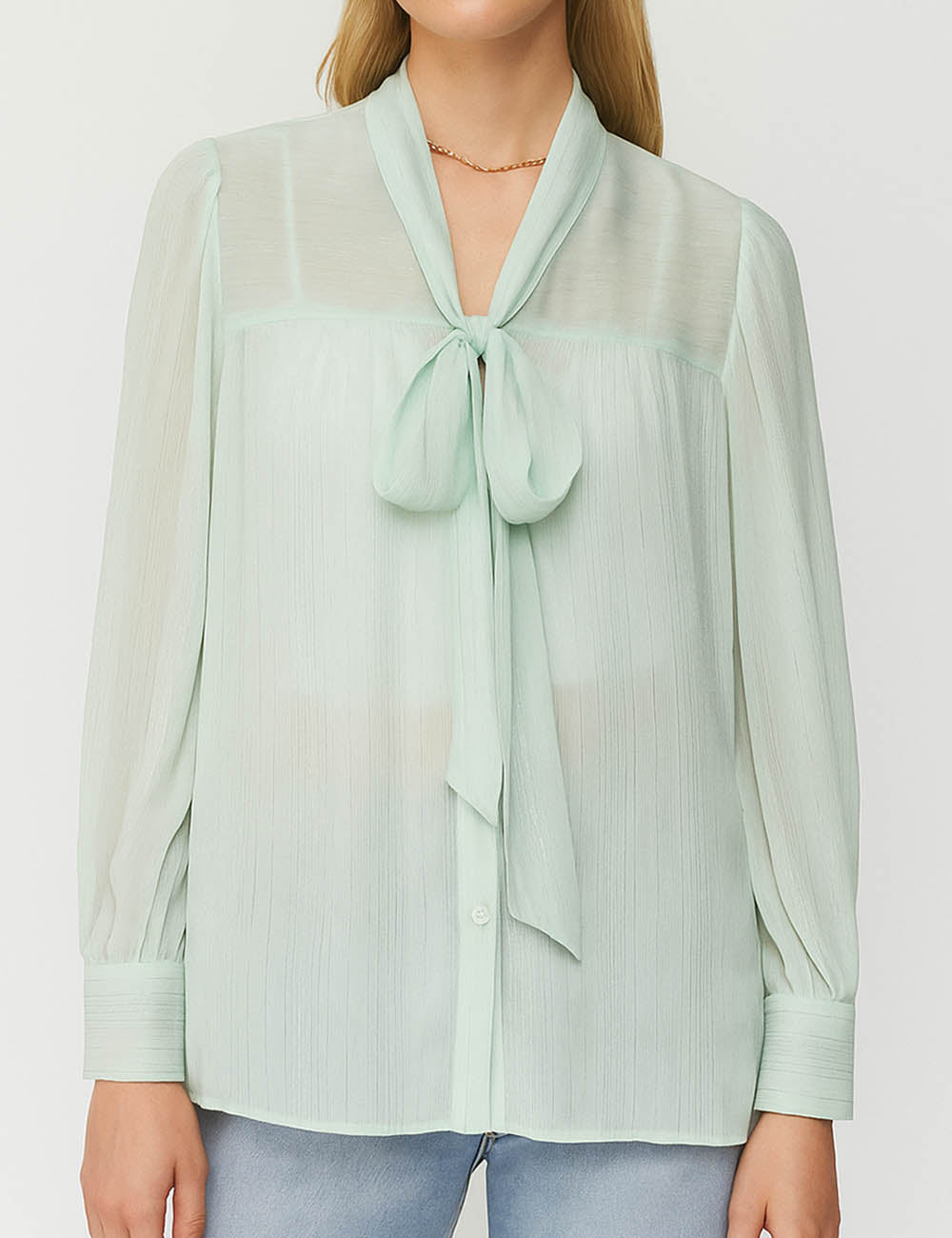 Ladies Chiffon Sheer Tie Neckline Long Sleeves Blouse