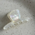 Ladies Glossy Simple Hair Claw Clips FJ891720 - SWEETKAMA